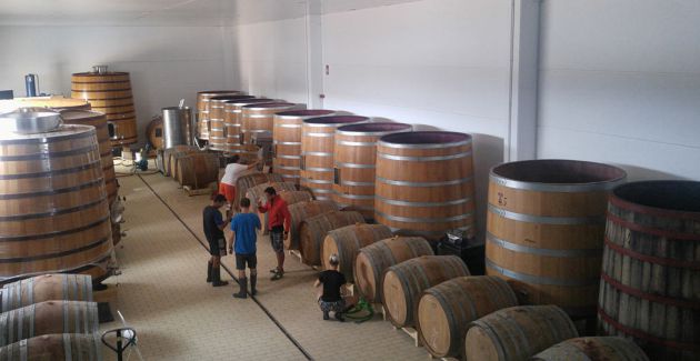Elaboran y crían sus vinos en barricas de madera de roble. Elaboran y crían sus vinos en barricas de madera de roble.