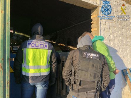 Desarticulada una organización dedicada a la recolecta de marihuana para vender en Europa Desarticulada una organización dedicada a la recolecta de marihuana para vender en Europa
