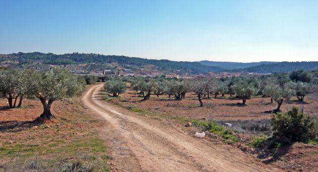 Desde Asaja consideran que los agricultores son los que menos contaminan. Desde Asaja consideran que los agricultores son los que menos contaminan.