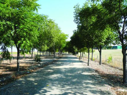 Vías Verdes de Córdoba, una propuesta atractiva que aúna turismo, deporte, gastronomía y naturaleza Vías Verdes de Córdoba, una propuesta atractiva que aúna turismo, deporte, gastronomía y naturaleza