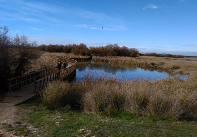Las turbas empiezan a 'dar la cara' en el entorno de las Tablas de Daimiel Las turbas empiezan a 'dar la cara' en el entorno de las Tablas de Daimiel