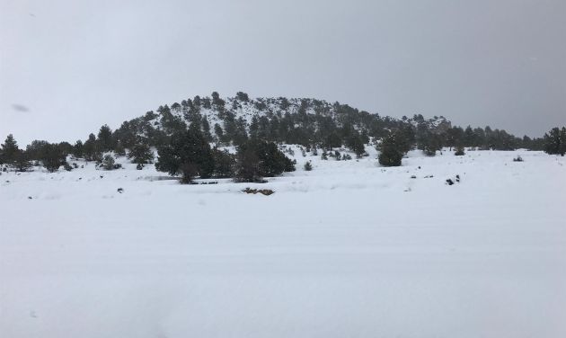 Se producirá una caída de la cota de nieve hasta los 300-600 metros durante la tarde-noche del domingo Se producirá una caída de la cota de nieve hasta los 300-600 metros durante la tarde-noche del domingo