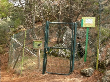 Entrada acotada a la cavidad para salvaguardar su ecosistema muy peculiar y rico Entrada acotada a la cavidad para salvaguardar su ecosistema muy peculiar y rico