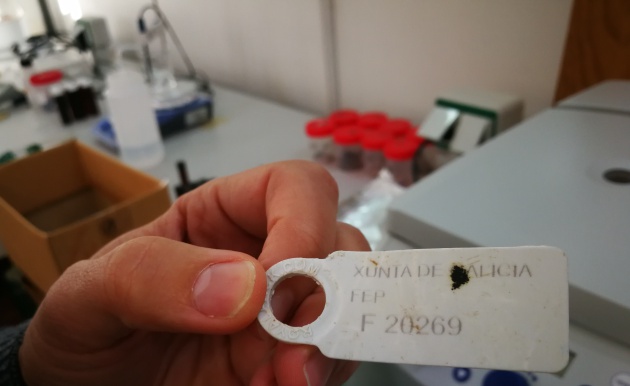 La recogida de basura marina, en ocasiones, se conserva en tan buen estado que se puede determinar su origen exacto La recogida de basura marina, en ocasiones, se conserva en tan buen estado que se puede determinar su origen exacto