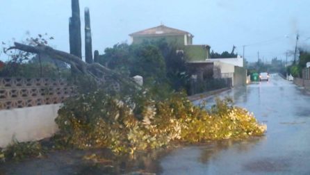 Paseos destrozados, calles inundadas y personas evacuadas en la Marina Alta Paseos destrozados, calles inundadas y personas evacuadas en la Marina Alta
