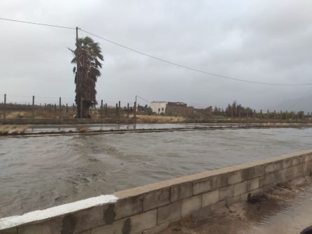 Canal entre Xeraco y Tavernes totalmente lleno Canal entre Xeraco y Tavernes totalmente lleno