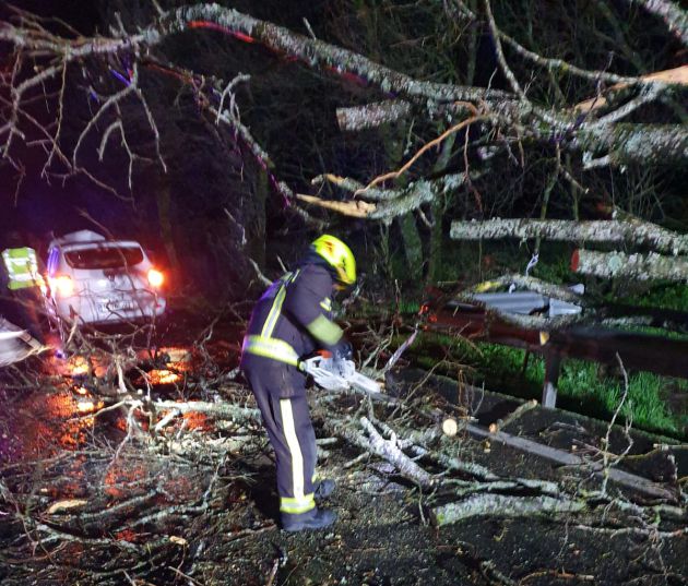 Una mujer resulta herida leve en un accidente provocado por la caída de un árbol en la CL-501 Una mujer resulta herida leve en un accidente provocado por la caída de un árbol en la CL-501