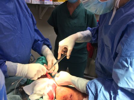 Los profesionales de la medicina han realizado una media de quince intervenciones diarias Los profesionales de la medicina han realizado una media de quince intervenciones diarias