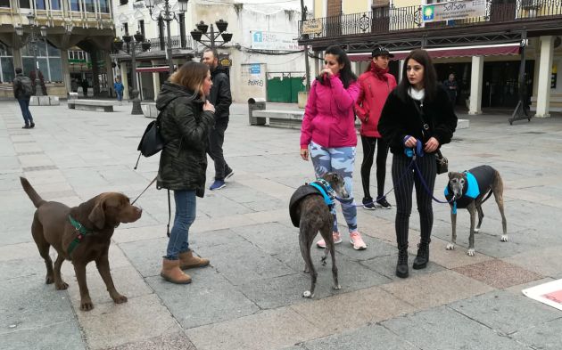 Varias manifestantes con sus perros en la concentración de la Plaza Mayor de Ciudad Real Varias manifestantes con sus perros en la concentración de la Plaza Mayor de Ciudad Real
