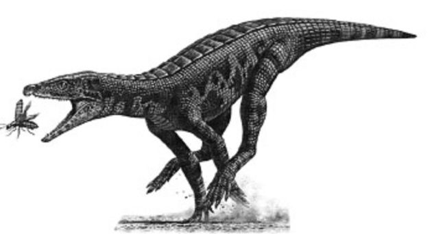 Reconstrucción en vida del Gobiosúquido de Las Hoyas. Reconstrucción en vida del Gobiosúquido de Las Hoyas.