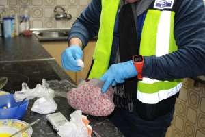 Detenidas 22 personas al desarticular dos grupos de venta de droga con ramificaciones en Elda y Valencia Detenidas 22 personas al desarticular dos grupos de venta de droga con ramificaciones en Elda y Valencia