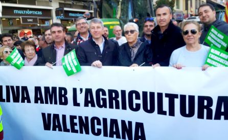 Representantes de Oliva en la manifestación de Valencia Representantes de Oliva en la manifestación de Valencia