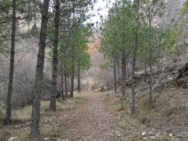 Ruta hasta el nacimiento del arroyo del Rincón. Ruta hasta el nacimiento del arroyo del Rincón.