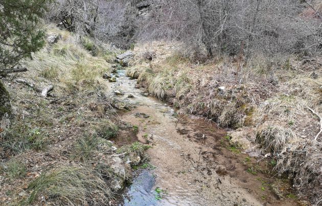 El arroyo del Rincón es uno de los más limpios de España. El arroyo del Rincón es uno de los más limpios de España.