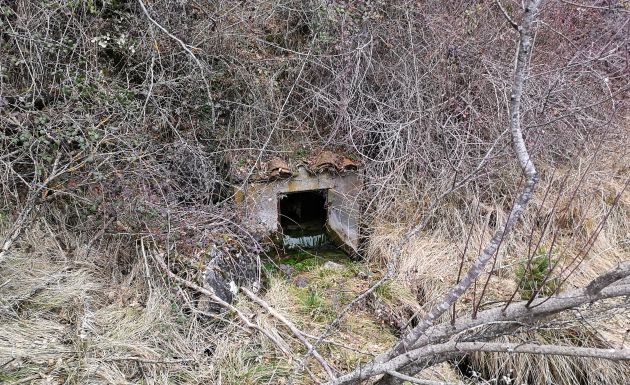 Nacimiento del arroyo del Rincón. Nacimiento del arroyo del Rincón.