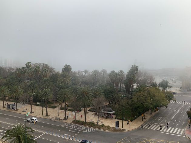 Imagen desde el Paseo del Parque de Málaga Imagen desde el Paseo del Parque de Málaga