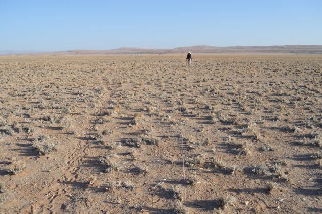 Desierto de Namibia Desierto de Namibia