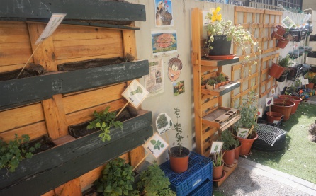 Imagen del huerto escolar del CEIP Padre Manjón de Elda Imagen del huerto escolar del CEIP Padre Manjón de Elda