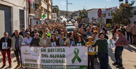 Marcha en defensa del olivar Marcha en defensa del olivar