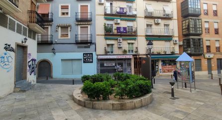 Jardín en el que se encontraba la palmera de la calle Martínez Molina. Jardín en el que se encontraba la palmera de la calle Martínez Molina.