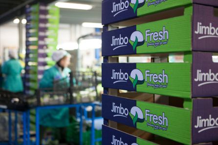 Almacén de productos agrícolas de Jimbo Fresh en la diputación de La Puebla(Cartagena)- Almacén de productos agrícolas de Jimbo Fresh en la diputación de La Puebla(Cartagena)-