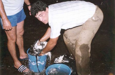 El consejero de Medio Ambiente, Higinio Hernández, pillado in fraganti desplumando pardelas en Alegranza en 1993. El consejero de Medio Ambiente, Higinio Hernández, pillado in fraganti desplumando pardelas en Alegranza en 1993.