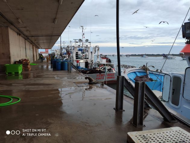 Puerto pesquero de Punta Umbría Puerto pesquero de Punta Umbría