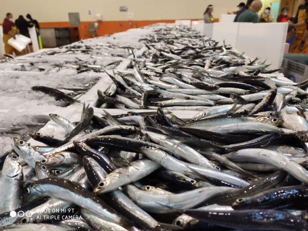 Boquerones Boquerones