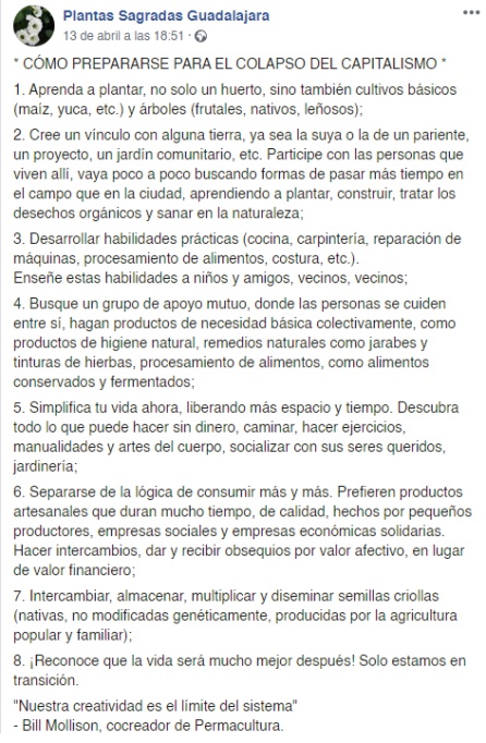 Guía completa sobre cómo prepararse para el colapso del capitalismo Guía completa sobre cómo prepararse para el colapso del capitalismo
