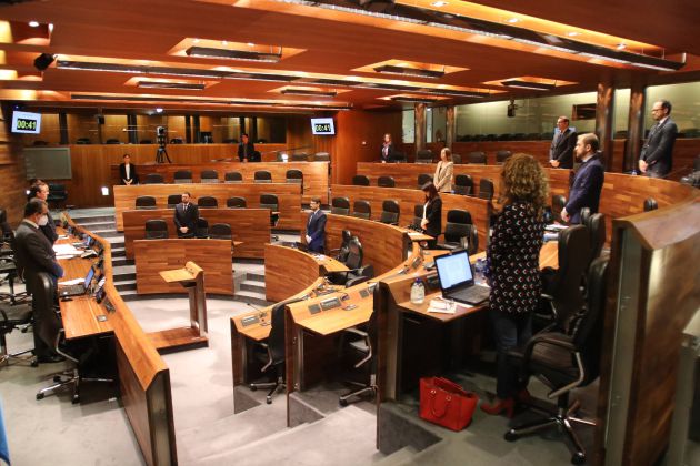 El parlamento asturiano guarda un minuto de silencio por la víctimas del coronavirus El parlamento asturiano guarda un minuto de silencio por la víctimas del coronavirus