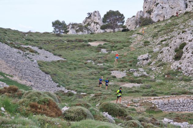 Participantes en anteriores ediciones de la carrera Participantes en anteriores ediciones de la carrera