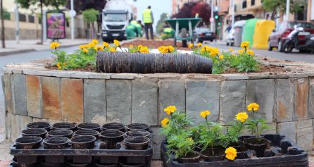 Flores de temporada en los paterres de esta vía Flores de temporada en los paterres de esta vía