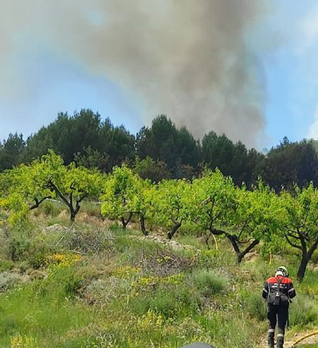Imagen del incendio Imagen del incendio