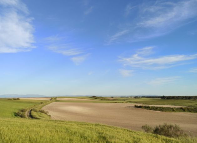 Castilla, tierra agraria y de bellos parajes Castilla, tierra agraria y de bellos parajes