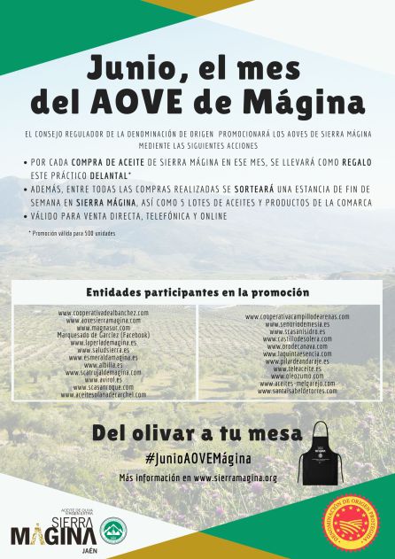 Cartel anunciador, donde se muestran todas las entidades que participan Cartel anunciador, donde se muestran todas las entidades que participan