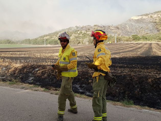 Agentes Medioambientales investigan un incendio en Almoguera Agentes Medioambientales investigan un incendio en Almoguera