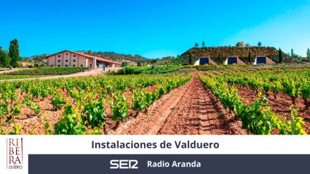 Instalaciones de la bodega Instalaciones de la bodega