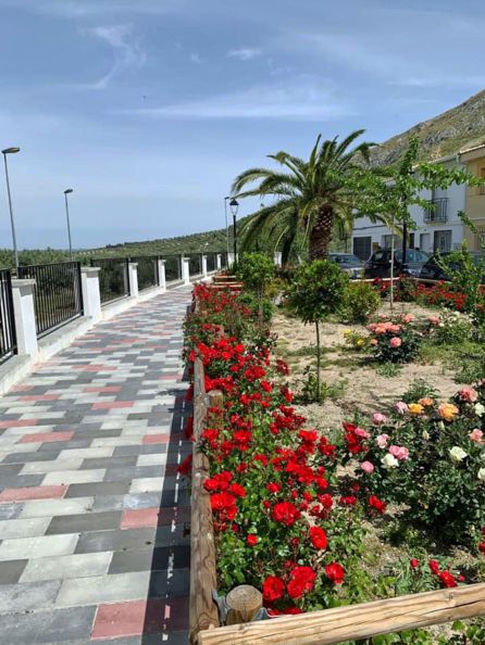 Una de las zonas ajardinadas sobre las que ha actuado el Ayuntamiento de Bedmar Una de las zonas ajardinadas sobre las que ha actuado el Ayuntamiento de Bedmar