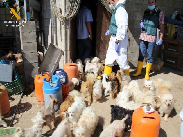 Los animales vivían en condiciones deplorables y sin medidas sanitarias Los animales vivían en condiciones deplorables y sin medidas sanitarias