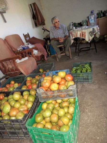 Productos de la huerta Productos de la huerta
