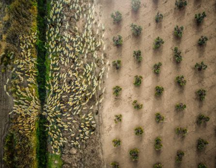 Imagen ganadora del Concurso de fotografía que promueve la feria. Imagen ganadora del Concurso de fotografía que promueve la feria.
