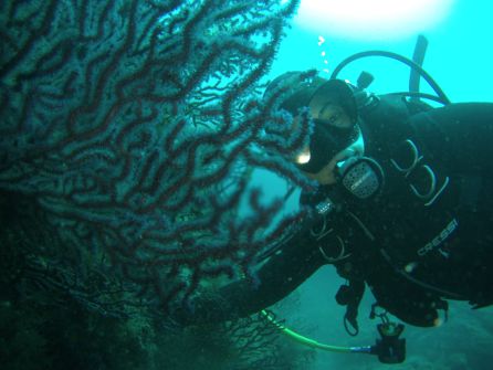 La Región de Murcia cuenta con Cabo de Palos como uno de los lugares más atractivos para la práctica del buceo La Región de Murcia cuenta con Cabo de Palos como uno de los lugares más atractivos para la práctica del buceo