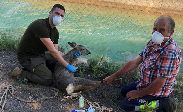 Miguel Huerta, a la izquierda, recupera a los animales rescatados para su reinserción en el monte. Miguel Huerta, a la izquierda, recupera a los animales rescatados para su reinserción en el monte.