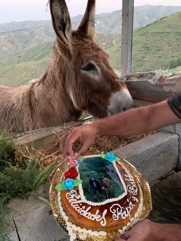 Baldomera cumplió cinco años hace unos días y sus dueños le hicieron una tarta de cumpleaños Baldomera cumplió cinco años hace unos días y sus dueños le hicieron una tarta de cumpleaños