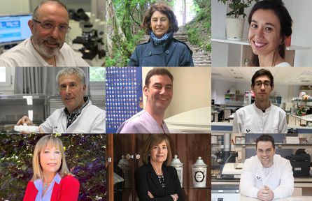 José Javier Aguirre, Koro de la Caba, Tania Garrido, Pedro Guerrero, Francisco Borja Gutiérrez, Kevin Las Heras, Rosa María Hernández, Manoli Igartua y Edorta Santos-Vizcaino. José Javier Aguirre, Koro de la Caba, Tania Garrido, Pedro Guerrero, Francisco Borja Gutiérrez, Kevin Las Heras, Rosa María Hernández, Manoli Igartua y Edorta Santos-Vizcaino.