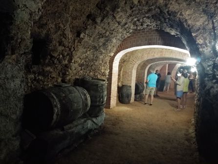 La nave de conservación incorpora elementos que dejan testimonio de su antiguo uso La nave de conservación incorpora elementos que dejan testimonio de su antiguo uso