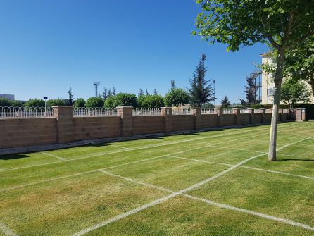 Detalle de las parcelas sobre el césped Detalle de las parcelas sobre el césped