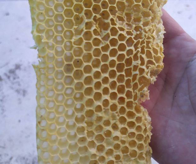 Imagen de uno de los enjambres Imagen de uno de los enjambres