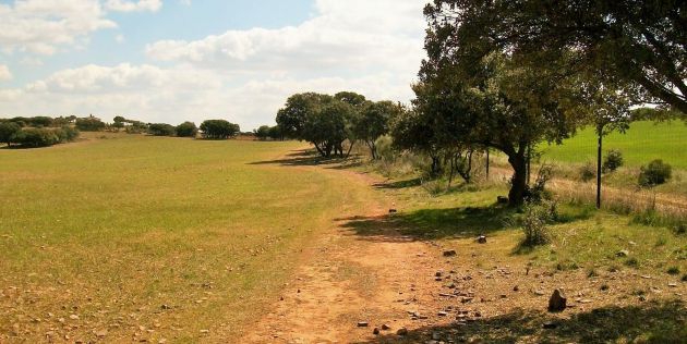Imagen de uno de los caminos de las rutas cicloturistas Imagen de uno de los caminos de las rutas cicloturistas