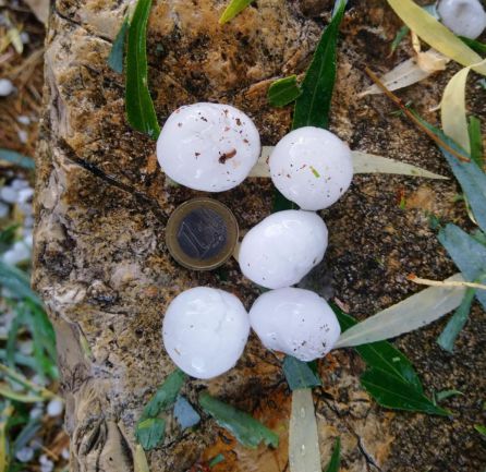 Tamaño de los granizos que cayeron en Salvacañete. Tamaño de los granizos que cayeron en Salvacañete.